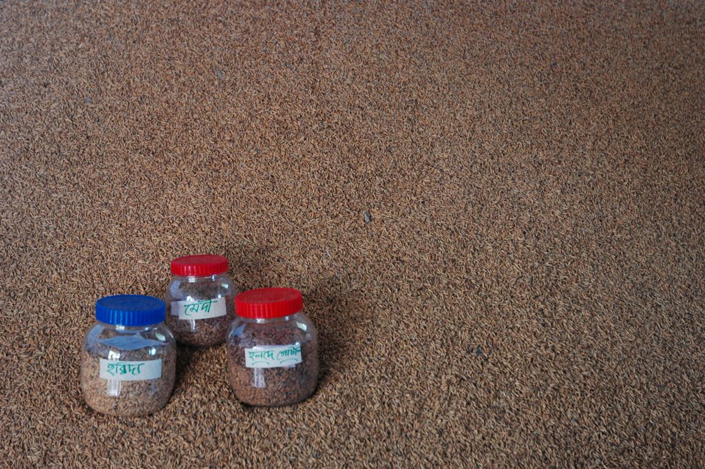 Photo Credit: Martin Kunz