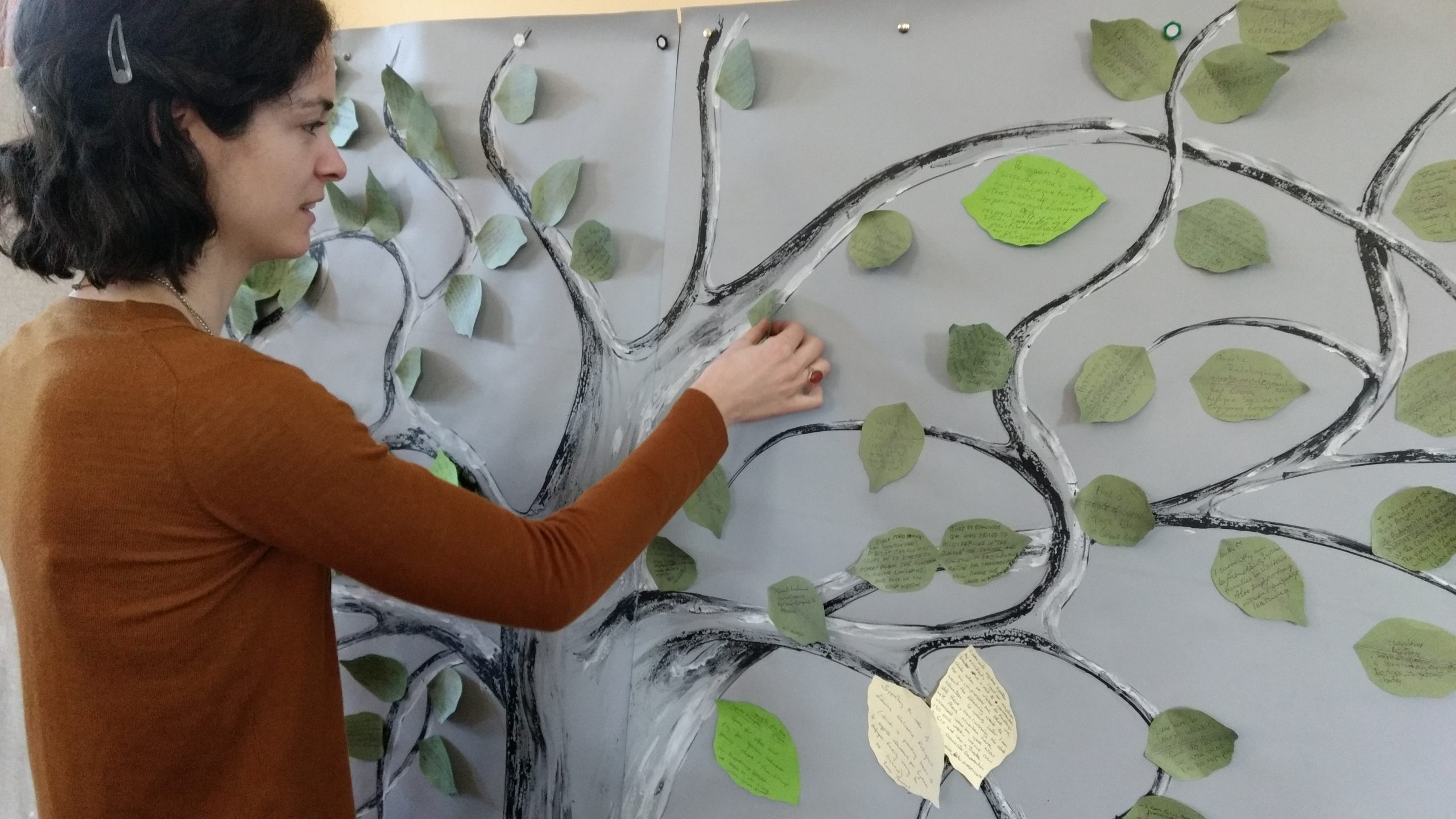 IMG_20170204_092802232