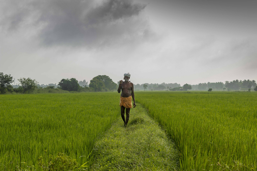 11458662603_1ce3e7b501_b