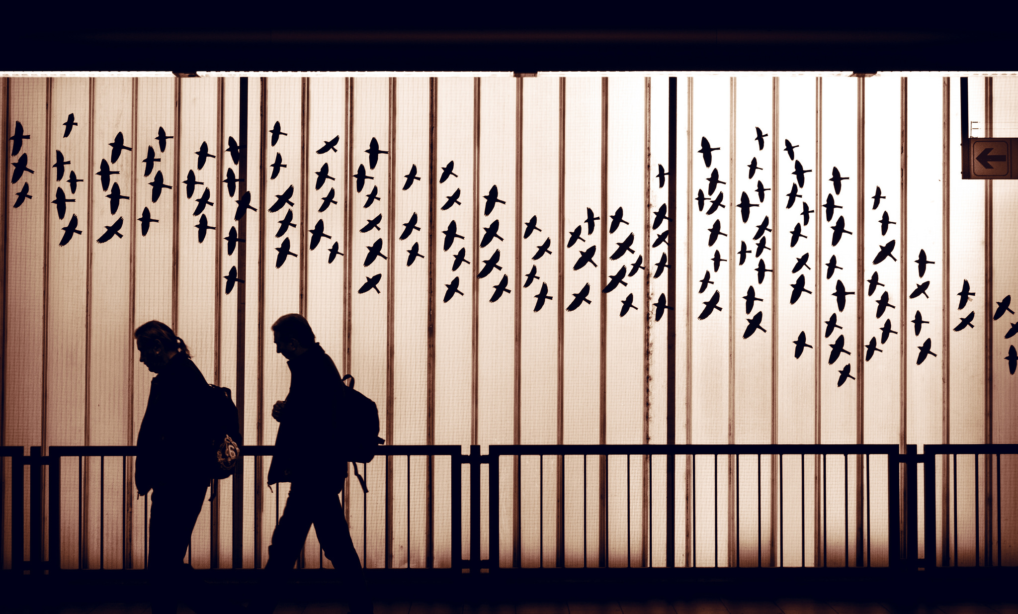 23293848975_105d556051_k