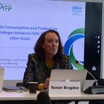 QUNO attends  expert group on “Advancing the 2030 Agenda” organized by the UN DESC