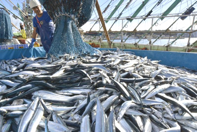 UNCTAD fishing
