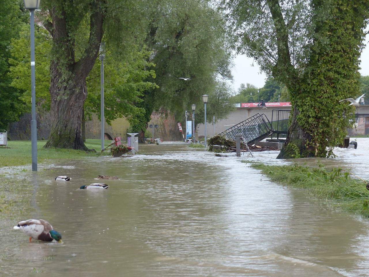 L&D__Danube flooding residential area__2022
