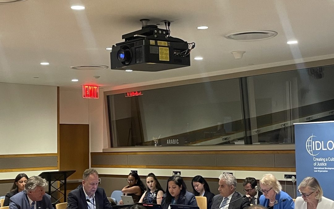 QUNO NY Representative speaks at High Level Political Forum side event